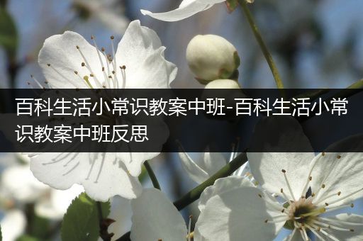 百科生活小常识教案中班-百科生活小常识教案中班反思