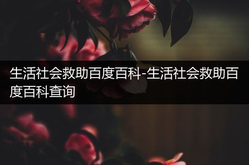 生活社会救助百度百科-生活社会救助百度百科查询