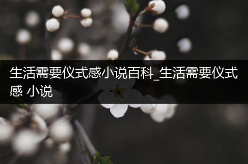 生活需要仪式感小说百科_生活需要仪式感 小说