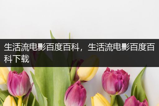 生活流电影百度百科，生活流电影百度百科下载