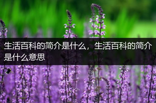 生活百科的简介是什么，生活百科的简介是什么意思