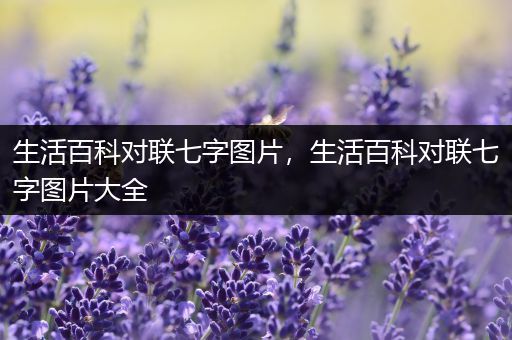 生活百科对联七字图片，生活百科对联七字图片大全