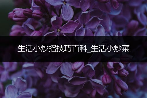 生活小炒招技巧百科_生活小炒菜