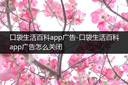 口袋生活百科app广告-口袋生活百科app广告怎么关闭