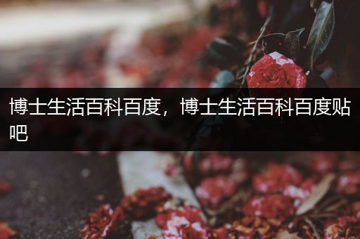 博士生活百科百度，博士生活百科百度贴吧
