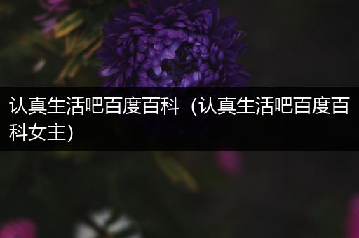 认真生活吧百度百科（认真生活吧百度百科女主）