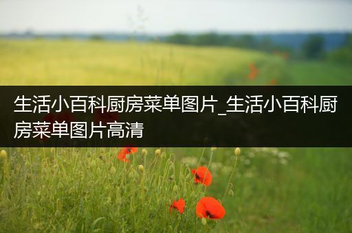 生活小百科厨房菜单图片_生活小百科厨房菜单图片高清