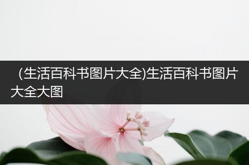 （生活百科书图片大全)生活百科书图片大全大图