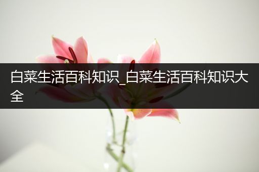 白菜生活百科知识_白菜生活百科知识大全