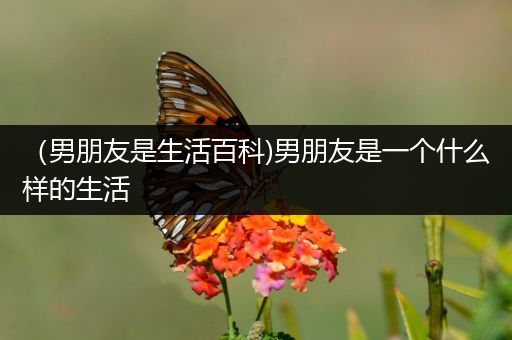 （男朋友是生活百科)男朋友是一个什么样的生活