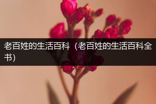 老百姓的生活百科（老百姓的生活百科全书）