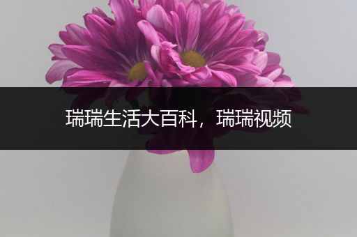 瑞瑞生活大百科，瑞瑞视频