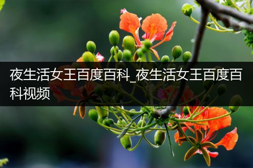 夜生活女王百度百科_夜生活女王百度百科视频