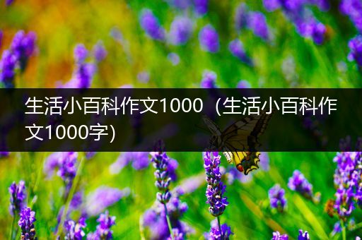 生活小百科作文1000（生活小百科作文1000字）