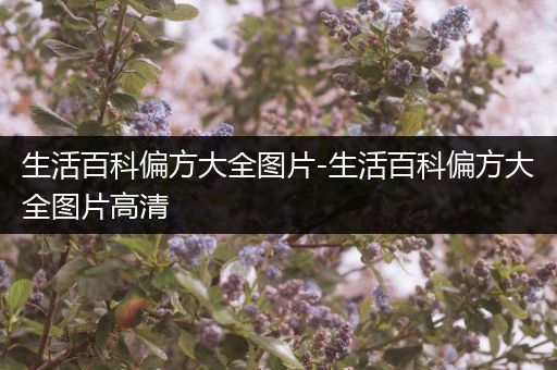 生活百科偏方大全图片-生活百科偏方大全图片高清