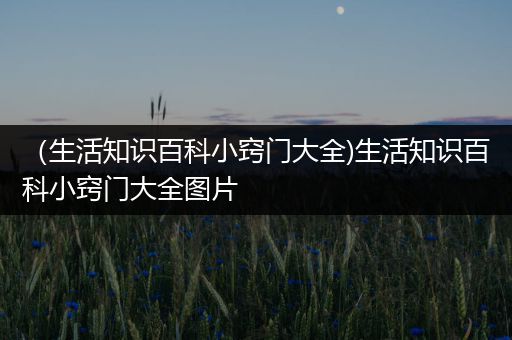 （生活知识百科小窍门大全)生活知识百科小窍门大全图片