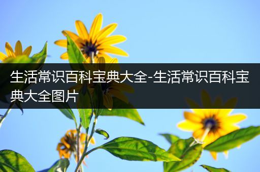 生活常识百科宝典大全-生活常识百科宝典大全图片