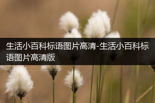 生活小百科标语图片高清-生活小百科标语图片高清版