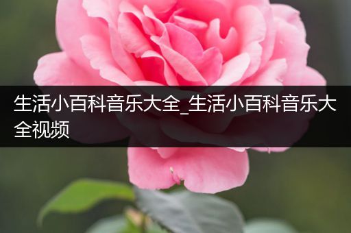 生活小百科音乐大全_生活小百科音乐大全视频