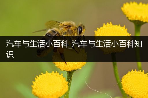 汽车与生活小百科_汽车与生活小百科知识