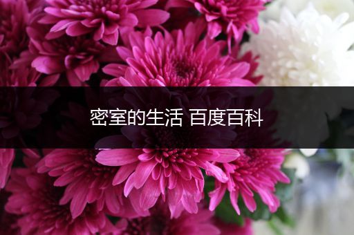 密室的生活 百度百科