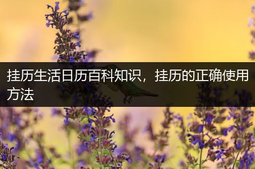 挂历生活日历百科知识，挂历的正确使用方法