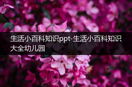 生活小百科知识ppt-生活小百科知识大全幼儿园