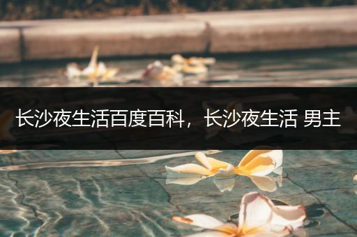 长沙夜生活百度百科，长沙夜生活 男主
