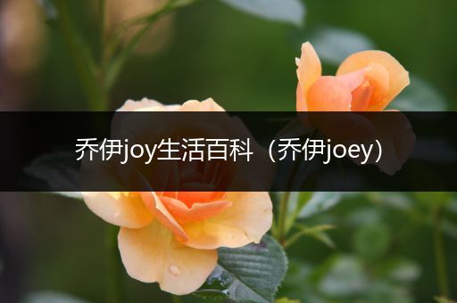 乔伊joy生活百科（乔伊joey）