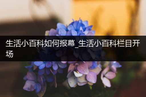 生活小百科如何报幕_生活小百科栏目开场