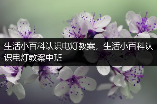 生活小百科认识电灯教案，生活小百科认识电灯教案中班