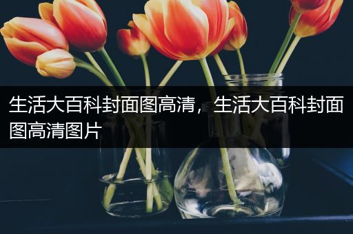 生活大百科封面图高清，生活大百科封面图高清图片