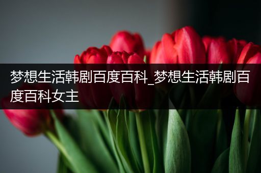 梦想生活韩剧百度百科_梦想生活韩剧百度百科女主