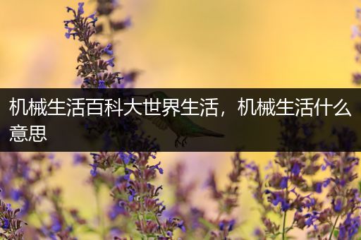 机械生活百科大世界生活，机械生活什么意思