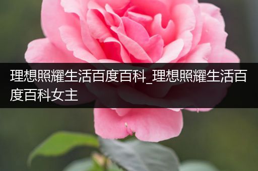 理想照耀生活百度百科_理想照耀生活百度百科女主