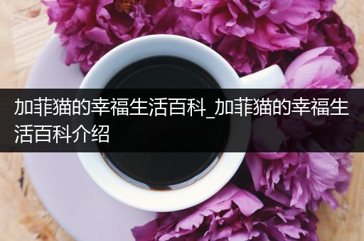 加菲猫的幸福生活百科_加菲猫的幸福生活百科介绍