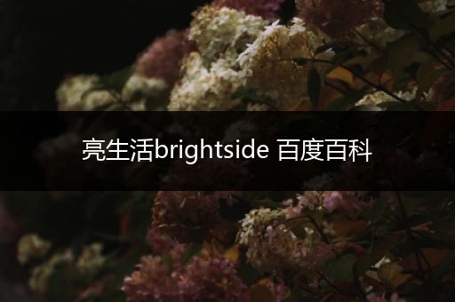 亮生活brightside 百度百科