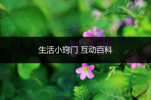 生活小窍门 互动百科