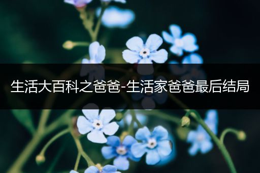 生活大百科之爸爸-生活家爸爸最后结局