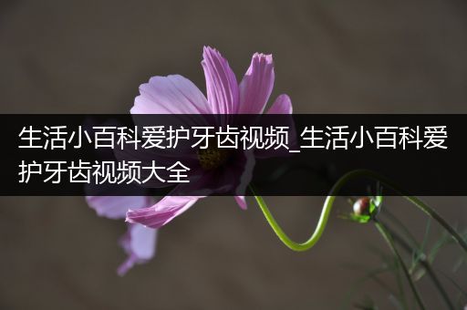 生活小百科爱护牙齿视频_生活小百科爱护牙齿视频大全