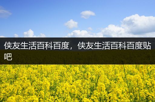 侠友生活百科百度，侠友生活百科百度贴吧