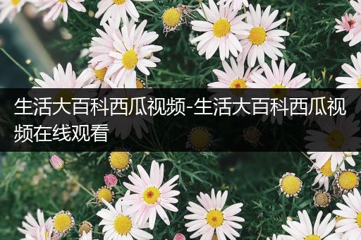 生活大百科西瓜视频-生活大百科西瓜视频在线观看