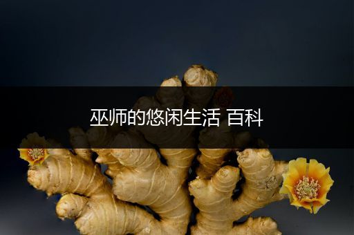 巫师的悠闲生活 百科