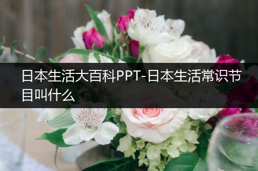 日本生活大百科PPT-日本生活常识节目叫什么