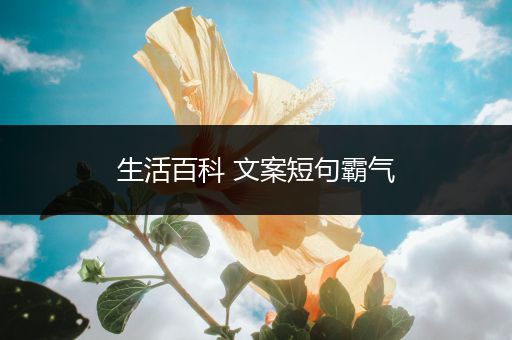 生活百科 文案短句霸气