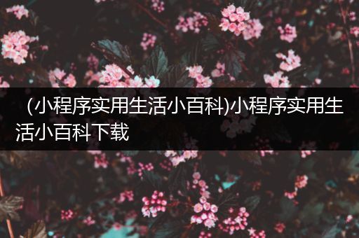 （小程序实用生活小百科)小程序实用生活小百科下载