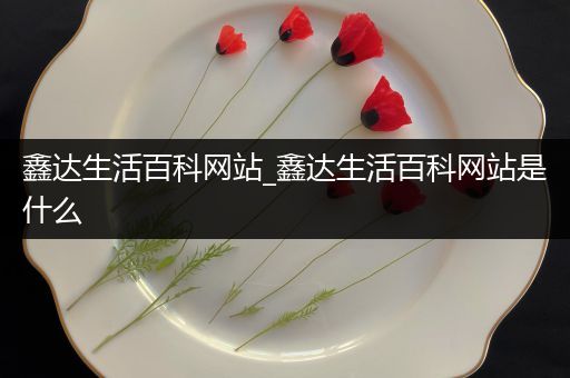 鑫达生活百科网站_鑫达生活百科网站是什么