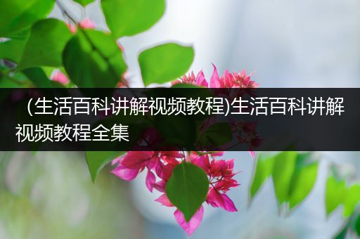 （生活百科讲解视频教程)生活百科讲解视频教程全集