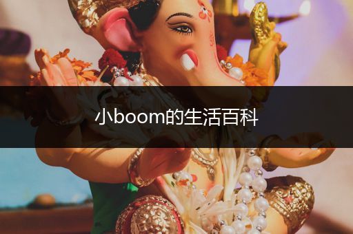 小boom的生活百科