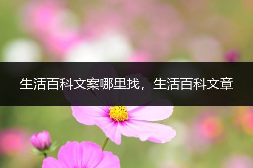 生活百科文案哪里找，生活百科文章